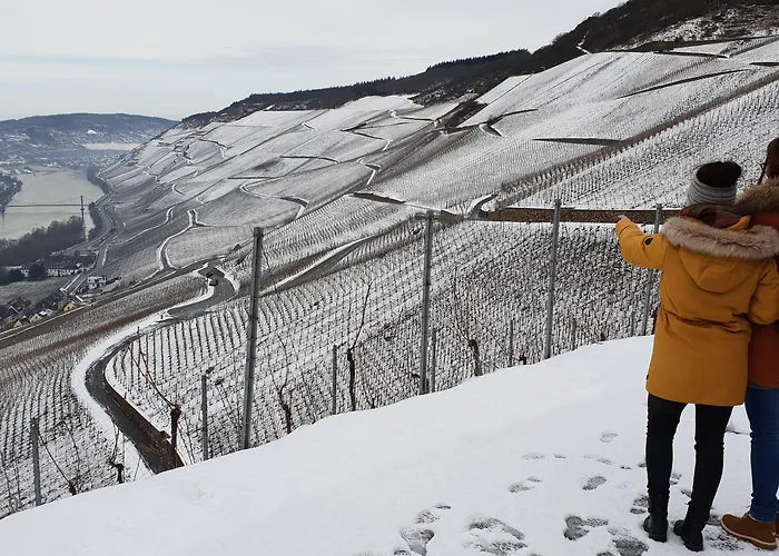 Jufa ベルンカステル・クース